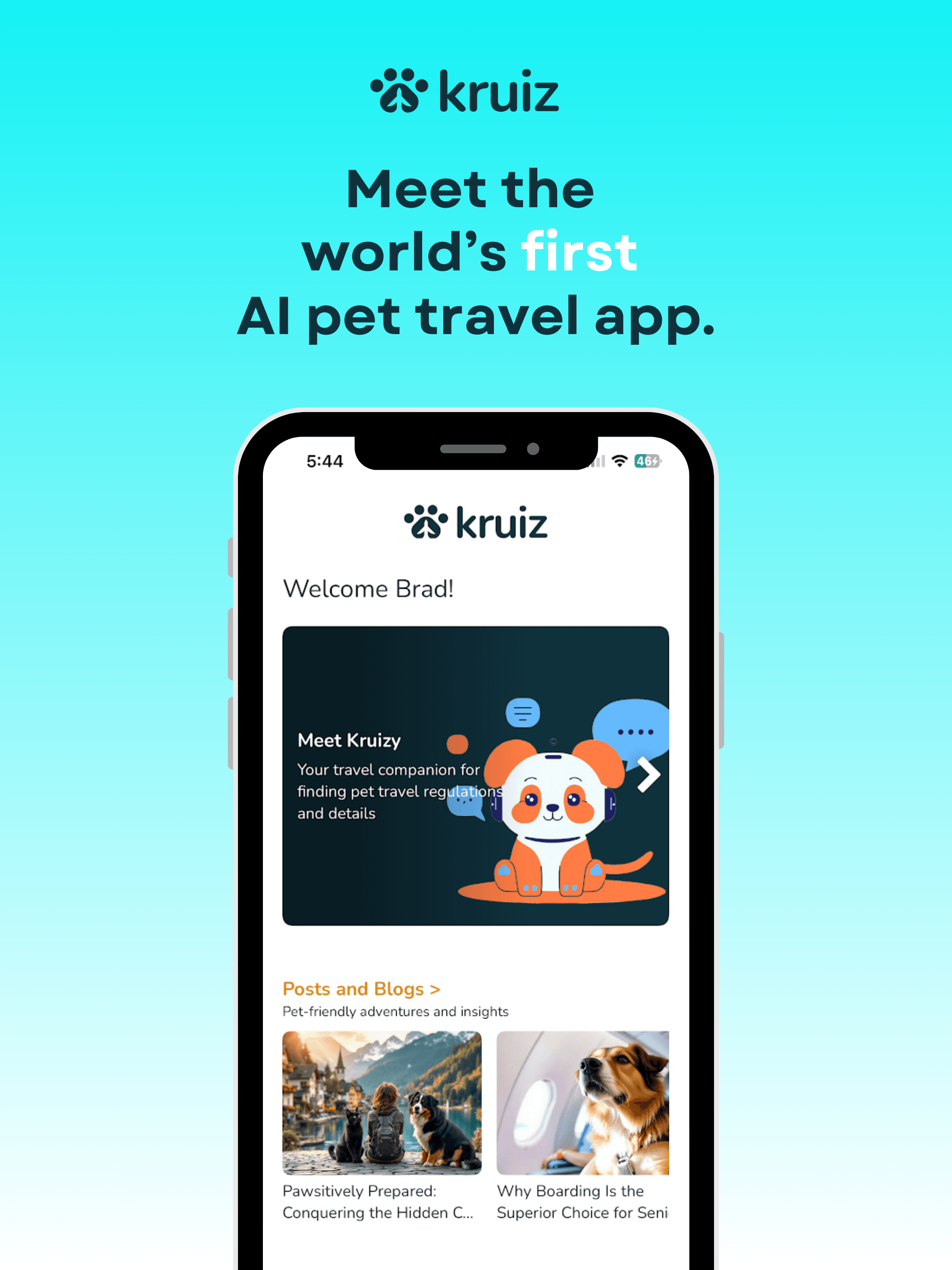 Kruiz screenshot 1
