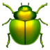 RAWPA logo